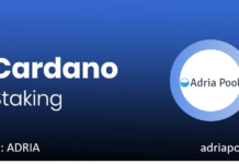 How to stake your ADA coins in your private Yoroi wallet how to stake ada