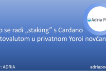 Kako se radi “staking” s Cardano kriptovalutom u privatnom Yoroi novčaniku