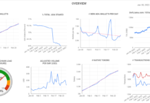 Cardano Blockchain insights – look into Cardano network