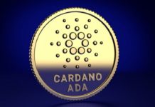 Cardano kripto mreža i njene primjene